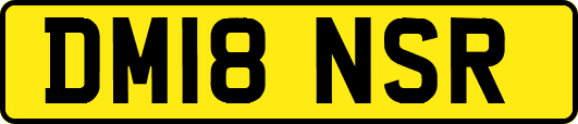 DM18NSR