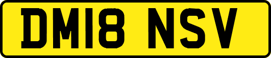 DM18NSV