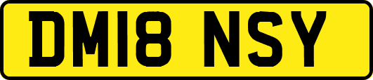 DM18NSY