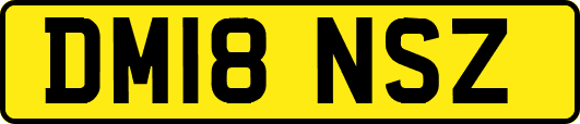 DM18NSZ