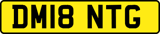 DM18NTG