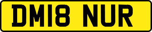 DM18NUR