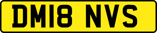 DM18NVS