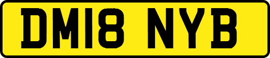DM18NYB