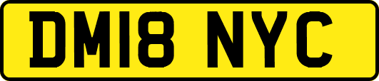 DM18NYC