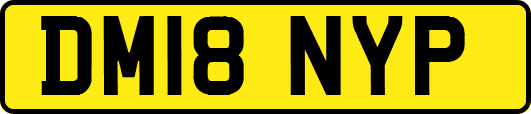 DM18NYP