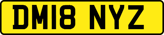DM18NYZ