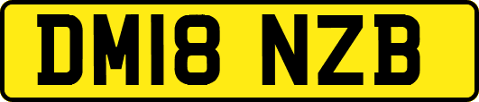 DM18NZB