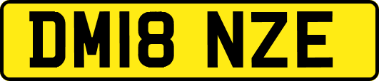 DM18NZE
