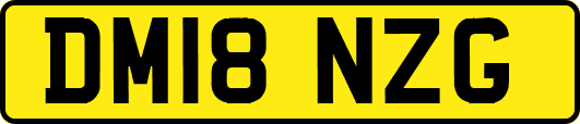 DM18NZG