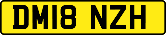 DM18NZH