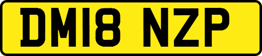 DM18NZP