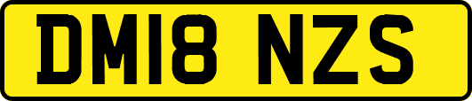 DM18NZS