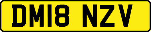 DM18NZV
