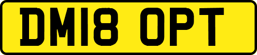 DM18OPT