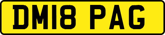 DM18PAG