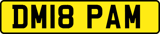 DM18PAM