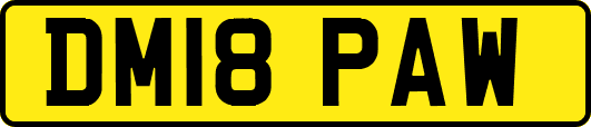DM18PAW
