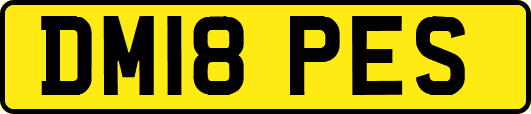 DM18PES