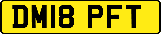 DM18PFT