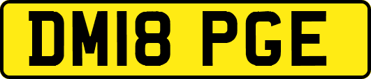 DM18PGE