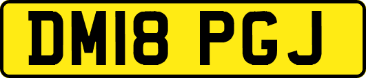 DM18PGJ