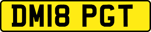 DM18PGT