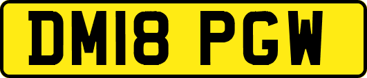 DM18PGW