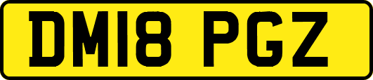 DM18PGZ