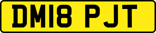 DM18PJT