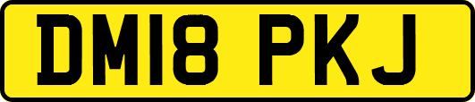 DM18PKJ