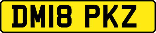 DM18PKZ