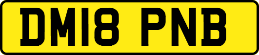 DM18PNB