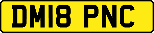 DM18PNC