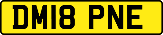 DM18PNE