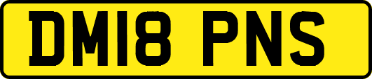 DM18PNS