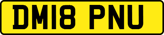 DM18PNU