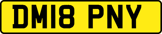 DM18PNY