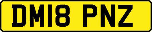 DM18PNZ
