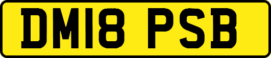 DM18PSB