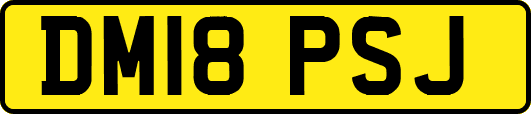 DM18PSJ
