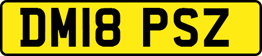 DM18PSZ