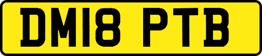 DM18PTB