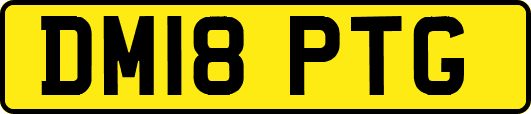 DM18PTG