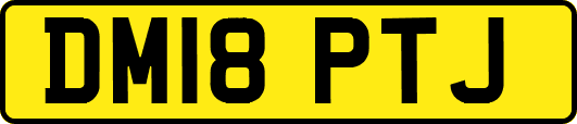 DM18PTJ