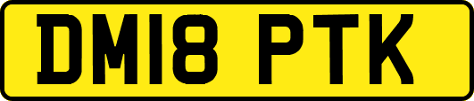 DM18PTK