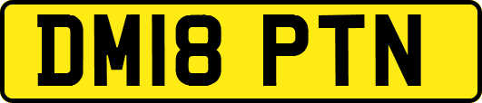 DM18PTN
