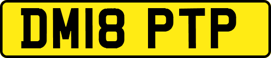 DM18PTP