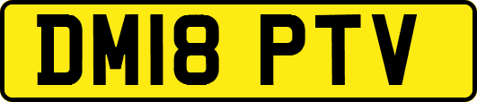 DM18PTV