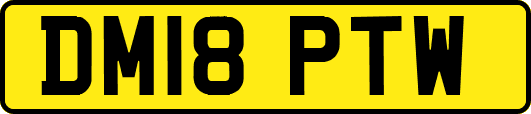 DM18PTW